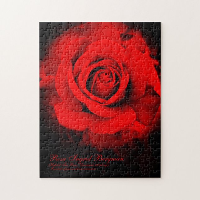 Red Rose [Jigsaw puzzle(252 piece)] Jigsaw Puzzle (Vertical)