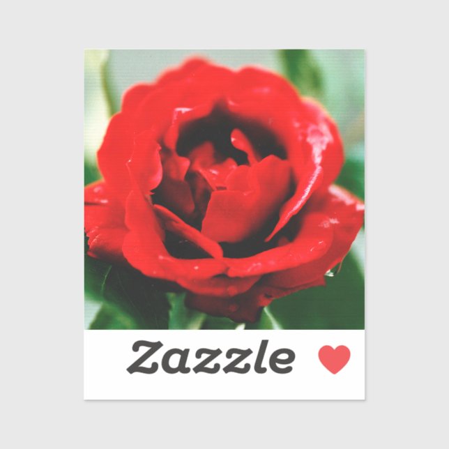 Red Rose Love  (Sheet)