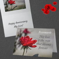 Red Rose Love Blooms Romantic Anniversary
