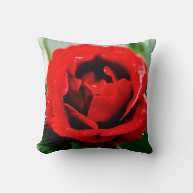 Red Rose Love  Cushion (Front)