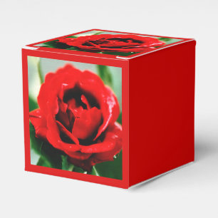 Red Rose Love  Favour Box