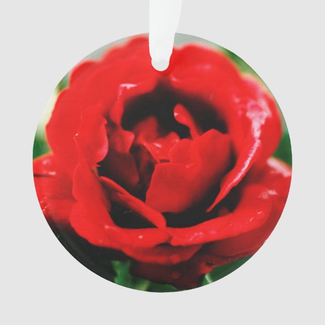 Red Rose Love   Ornament (Front)