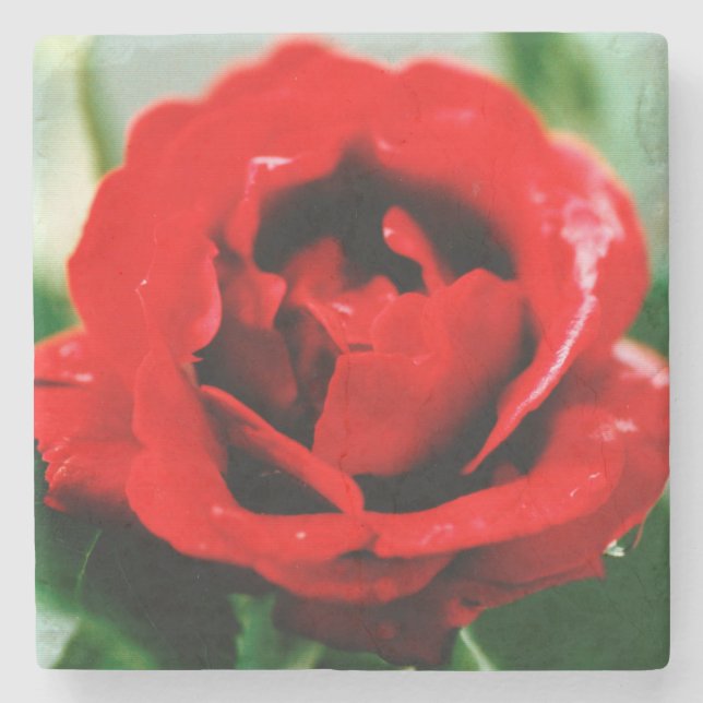 Red Rose Love  Stone Coaster (Front)