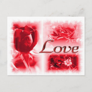 Red Rose Love Trio Postcard