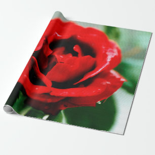 Red Rose Love Wrapping Paper