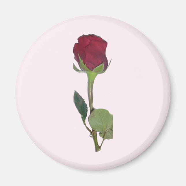 Red Rose Magnet (Front)