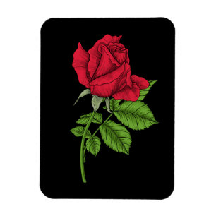 Red rose magnet