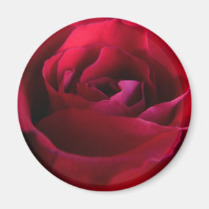Red Rose Magnets Pink Rose Gifts Keepsake Decor