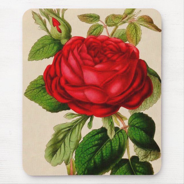 Red Rose Mouse Pad (Front)