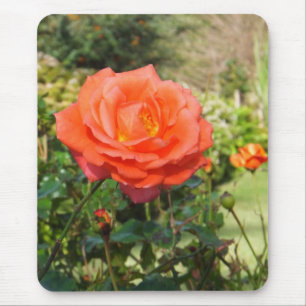 Red Rose mousepad
