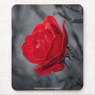 Red Rose Mousepad