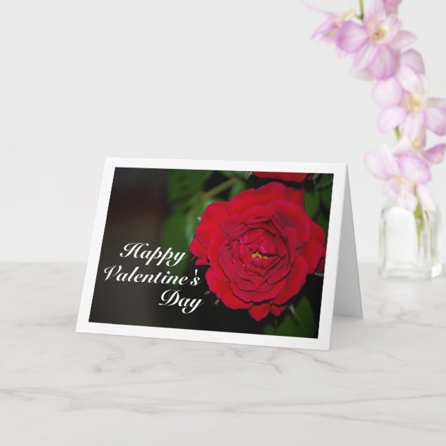 Red Rose Night Portrait Card (Orchid)