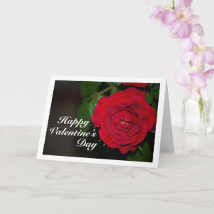 Red Rose Night Portrait Card
