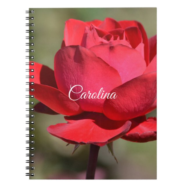 Red Rose Notebook (Front)