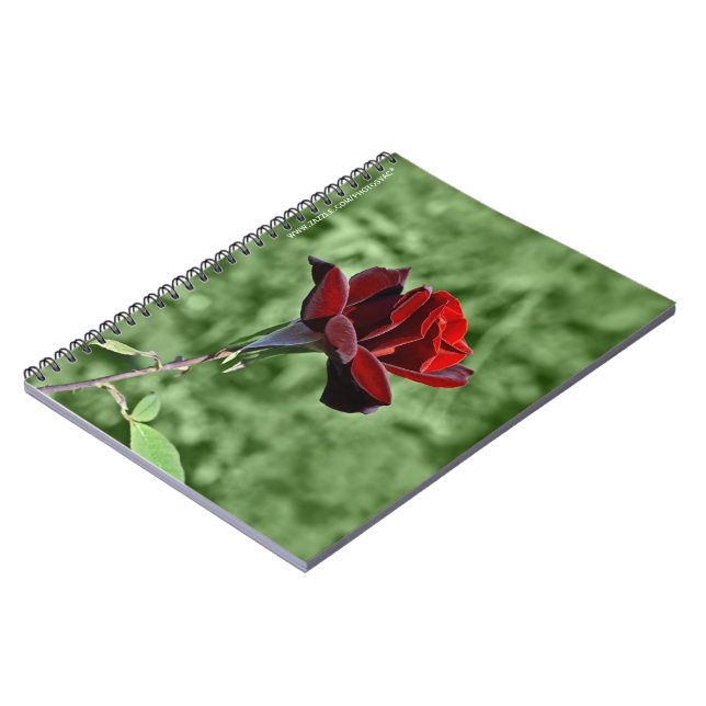 Red Rose Notebook (Left Side)