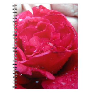 Red Rose Notebook
