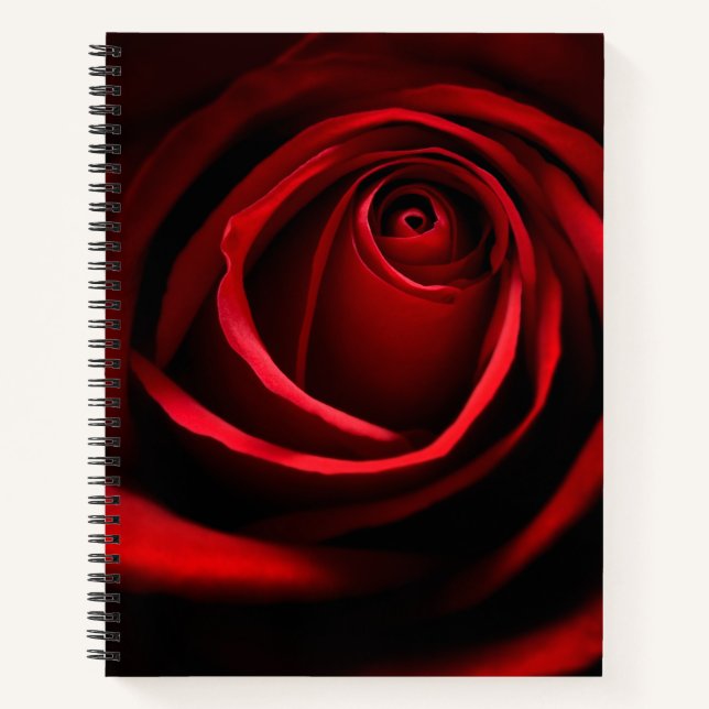 Red Rose Notebook (Front)