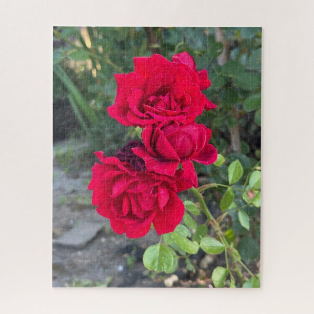 Red Rose, Oakland Jigsaw Puzzle (Vertical)