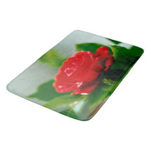 Red Rose of passion covered with dew drops 