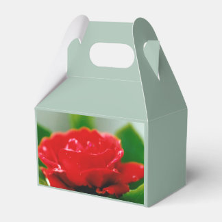 Red Rose of passion covered with dew drops  Favour Box