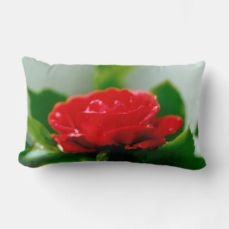 Red Rose of passion covered with dew drops Lumbar Cushion