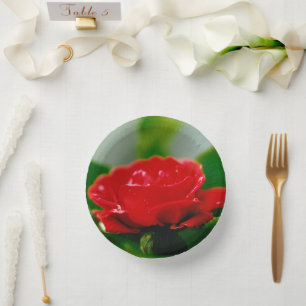 Red Rose of passion covered with dew drops   Paper Plate