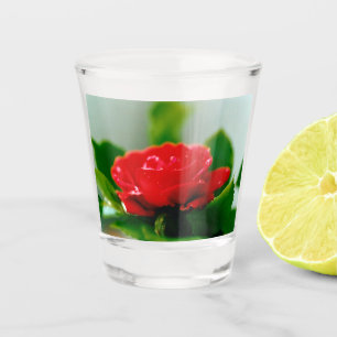 Red Rose of passion covered with dew drops Shot Glass