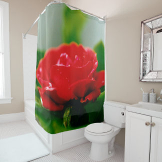 Red Rose of passion covered with dew drops  Shower Curtain