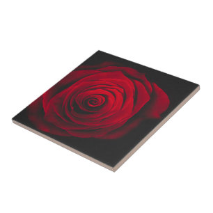 Red rose on black background vintage effect tile