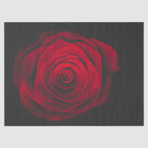 Red rose on black background vintage effect tissue paper