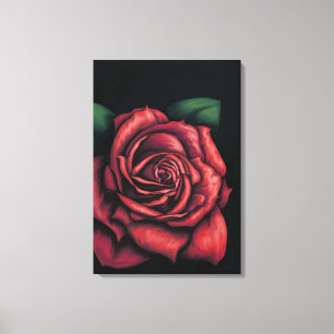 Red rose on black bottom canvas print