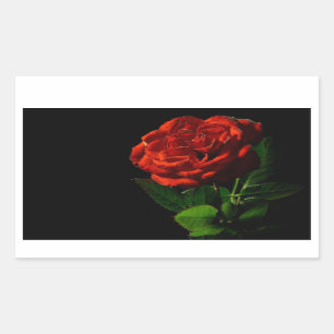 Red Rose on Black Floral Rectangular Sticker