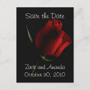 Red Rose on Black- invitation