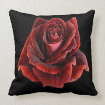 Red Rose on Black Pillow Cushion