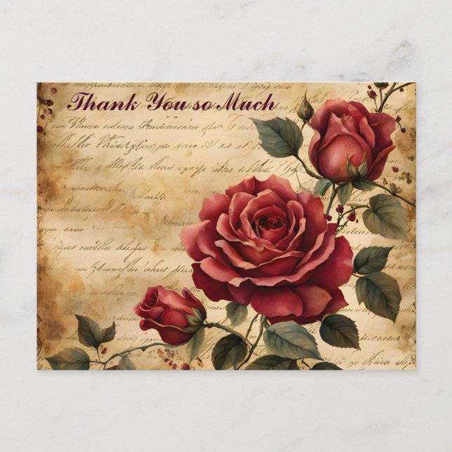 Red Rose on Old Parchment Thank You Postcard (Front)