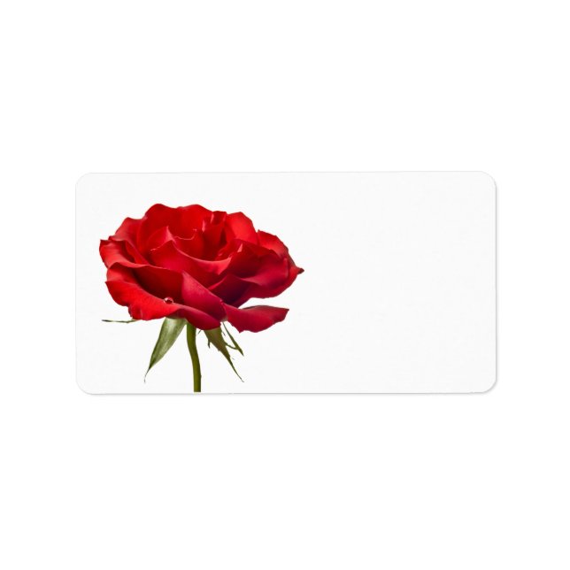 Red Rose on White - Customised Roses Template Label (Front)