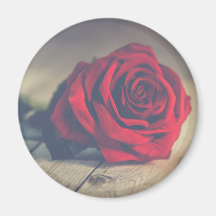 Red Rose on Wooden Floorboards Art Print Magnet