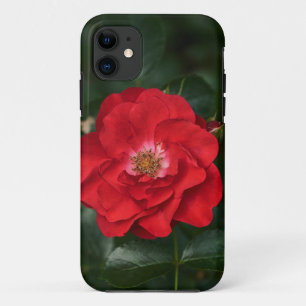 Red Rose P6568 Case-Mate iPhone Case