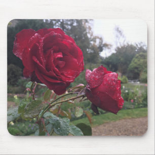 Red Rose Pair Mouse Pad