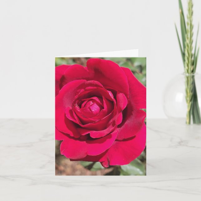 Red Rose Personalised Greeting Card (Front)