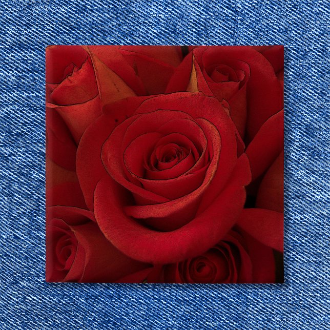 Red Rose Photo Art 15 Cm Square Badge (Red Rose Photo Art Button Square Shape
)