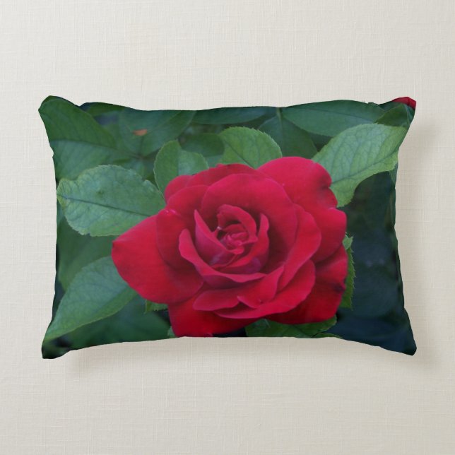 Red Rose Photo Decorative Cushion (Front)