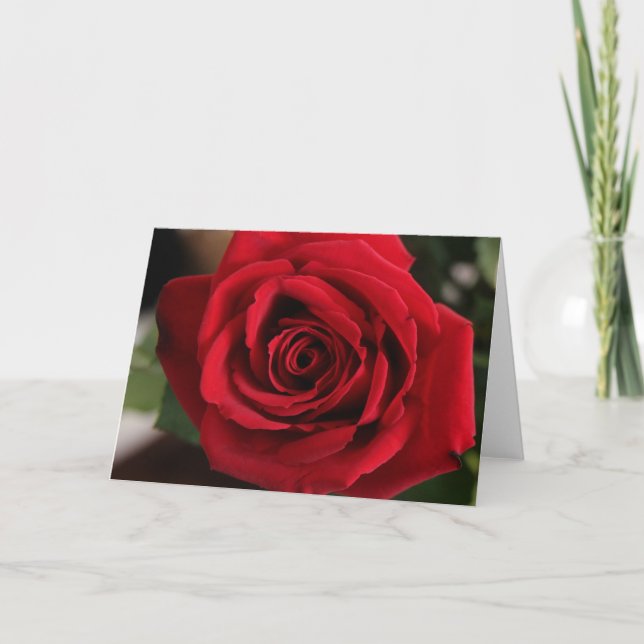 Red Rose Photograph Holiday Card (Front)