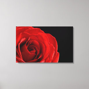 red rose photograph wrapped canvas print