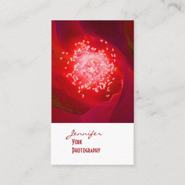Red Rose photography business cards (Front)