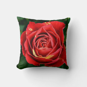 Red Rose Photography Cushion
