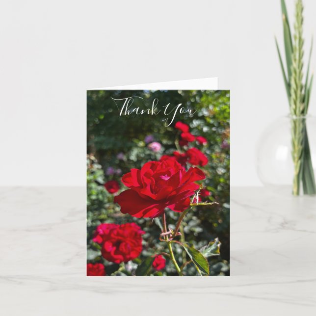 Red Rose Photography Folded Thank You Card  (Front)