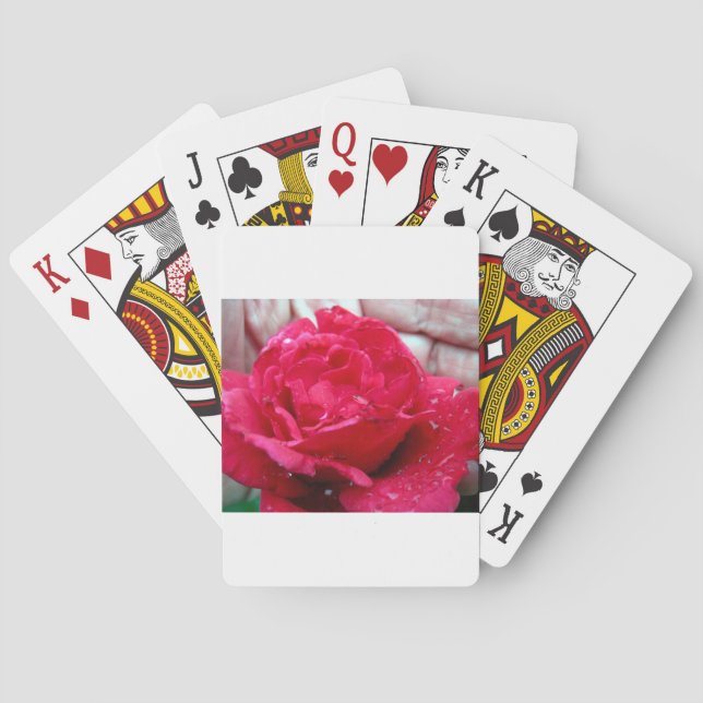 Red Rose Playing Cards (Back)