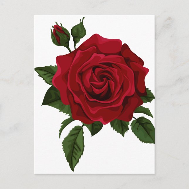 Red rose postcard (Front)