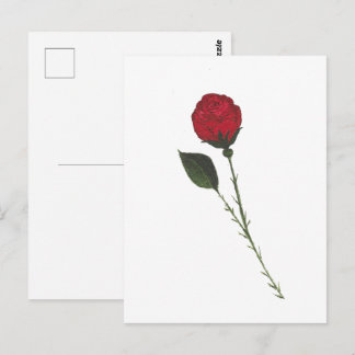 Red Rose Postcard